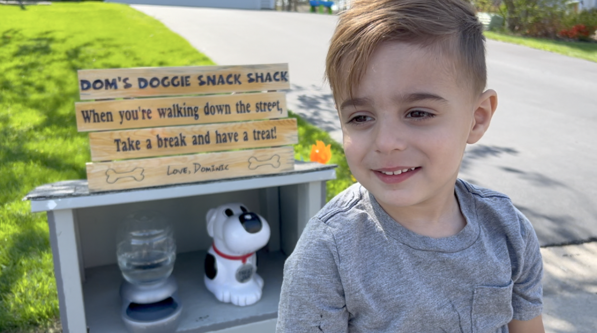 Snack shack online dog treats